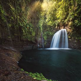 Wasserfall mit Dschungel auf Guadeloupe von Jean Claude Castor
