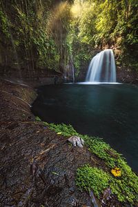 Wasserfall mit Dschungel auf Guadeloupe von Jean Claude Castor