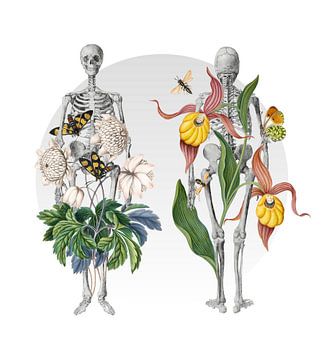 Botanical Anatomy von Marja van den Hurk