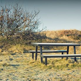 Picknicktafel van Bo Valentino