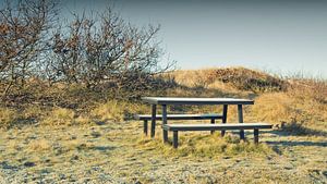 Picknicktafel van Bo Valentino