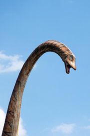 Brontosaurus by PHOTOGENIQUE