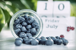 Frische Blaubeeren aus dem Wald