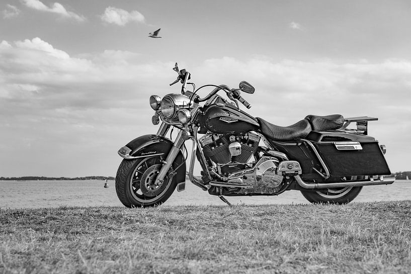 Harley Davidson Road King3 von anne droogsma