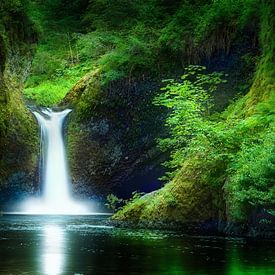 Anmutiger Wald mit Wasserfall in Oregon USA. von Voss Fine Art Fotografie