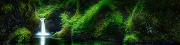 Sierlijk bos met waterval in Oregon USA. van Voss Fine Art Fotografie