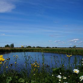 Nederlandse natuur water van Martine Overkamp-Hovenga