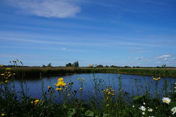 Nederlandse natuur water van Martine Overkamp-Hovenga