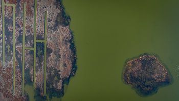 Brown and green (1/4)