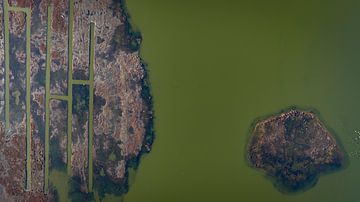 Braun und grün (1/4)