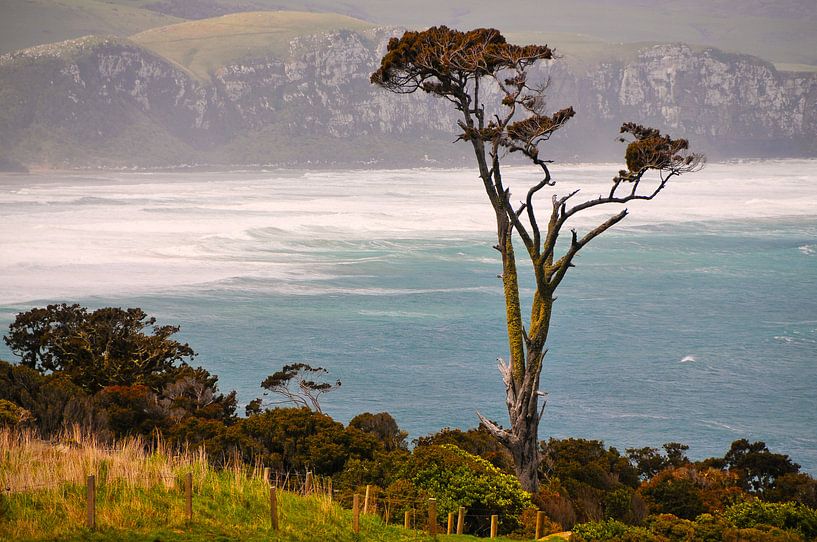 Rough coast by Denis Feiner