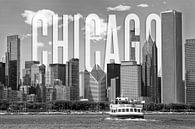 CHICAGO Skyline | Monochroom van Melanie Viola thumbnail