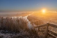 Golden light