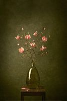 Wo die Magnolie wächst