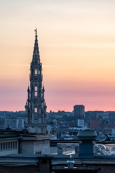 Stadszicht over Brussels oude stad, gouden uurtje van Werner Lerooy
