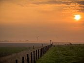 zonsopgang bij een weiland van Martijn Tilroe thumbnail