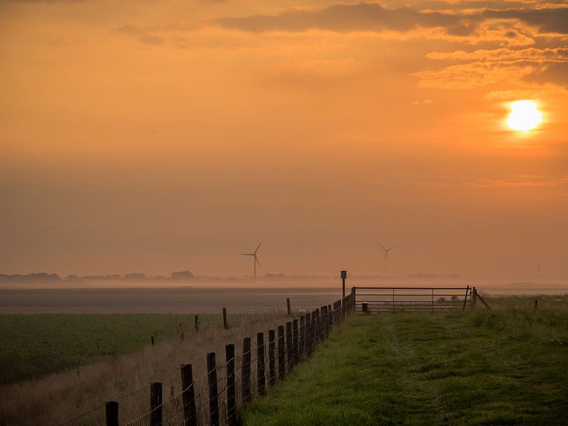 zonsopgang bij een weiland van Martijn Tilroe