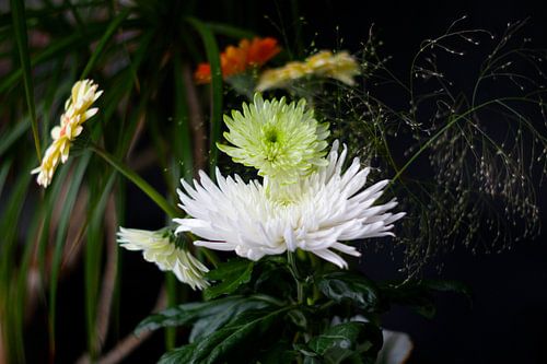 Bouquet de fleurs 2