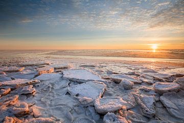 The frozen mudflats by Ton Drijfhamer