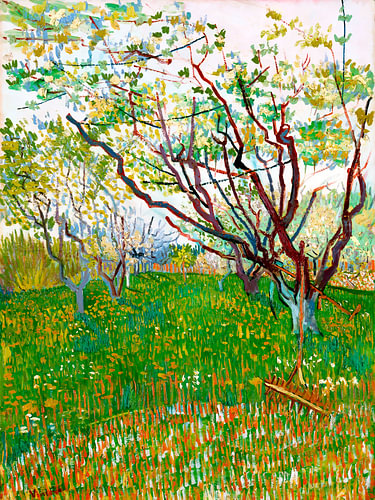 Le verger en fleurs - Vincent van Gogh - 1888