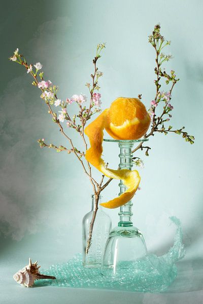 Nature morte &quot;Fleur de décembre par Willy Sengers