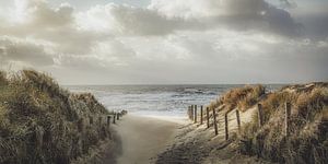Dünen, Meer und Strand wie ein altes holländisches Gemälde