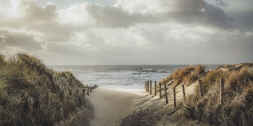 Dunes, mer et plage comme dans un vieux tableau hollandais sur Dirk van Egmond