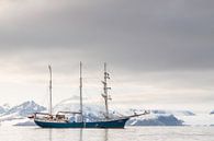 Tall Ship Barquentine Antigua in de wateren rondom Spitsbergen van Menno Schaefer thumbnail