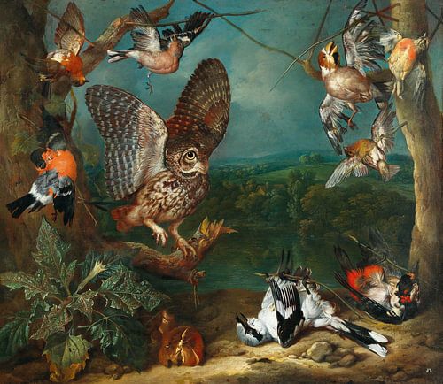 Een uil en andere vogels, Philipp Ferdinand de Hamilton