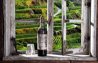 Uitzicht uit het raam