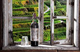 Blick aus dem Fenster von Jürgen Wiesler