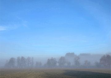 Waking up in the fog