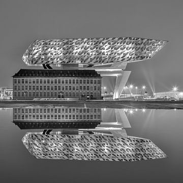 Port House Antwerp at night reflected in a pond by Tony Vingerhoets