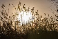 Sonnenuntergang