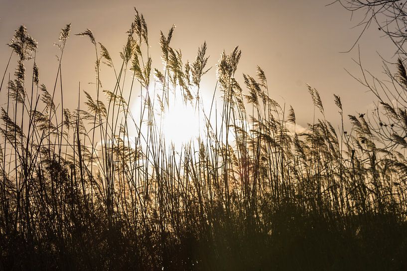 Zonsondergang van Carla Eekels