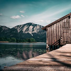 Bootshütte am See: Alpines Panorama von Pitkovskiy Photography|ART