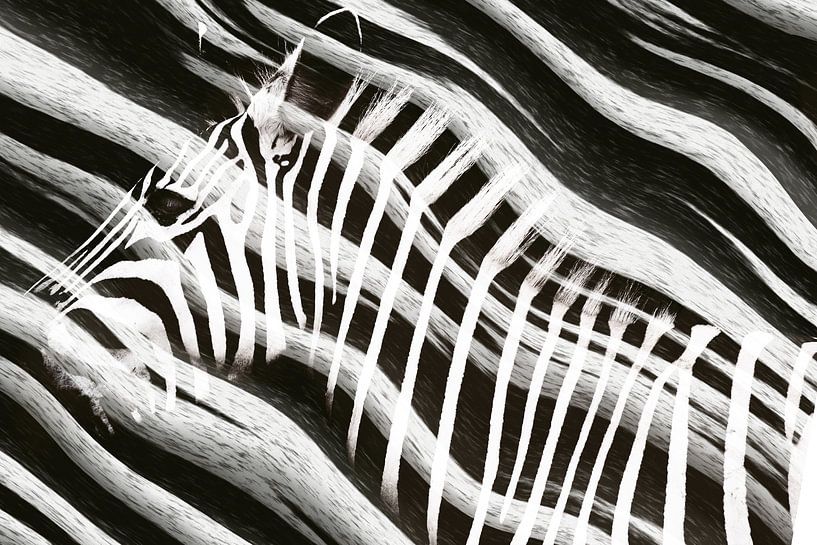 Zebra in Abstrakt von Arjen Roos