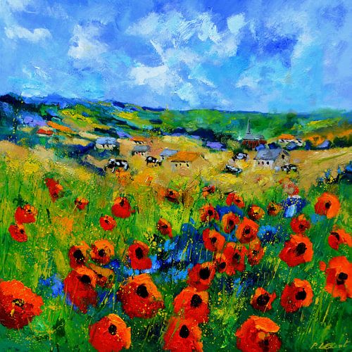 Rode klaprozen op het platteland