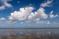 Wadden Sea