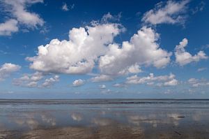 Mer des Wadden sur Richard Wareham