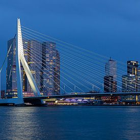 Erasmus Bridge Rotterdam by Havenfotos.nl(Reginald van Ravesteijn)