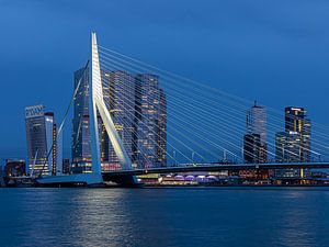 Pont Erasmus Rotterdam sur Havenfotos.nl(Reginald van Ravesteijn)