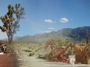 America Death Valley Collage