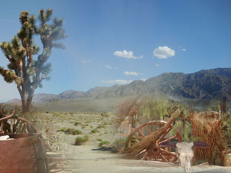 America Death Valley Collage von Karen Boer-Gijsman