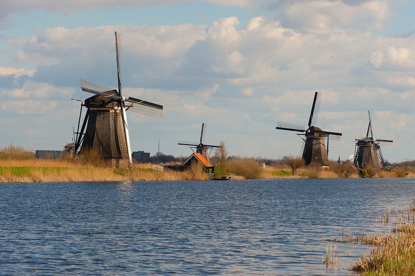 Windmills in Netherlands by Brian Morgan