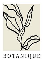Botanique minimalistische kunst, botanische kunst, boho kunst