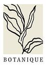 Botanique minimalistische Kunst, botanische Kunst, Boho-Kunst von Hella Maas Miniaturansicht