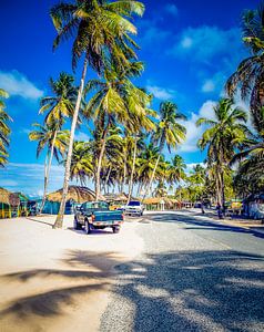 Secret Beach, Sosua, Dominikanische Republik von Tonny Visser-Vink