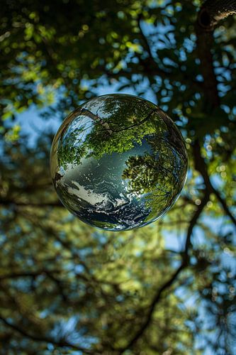 Glazen bol met bomen reflectie