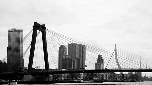 Skyline of Rotterdam, the Netherlands